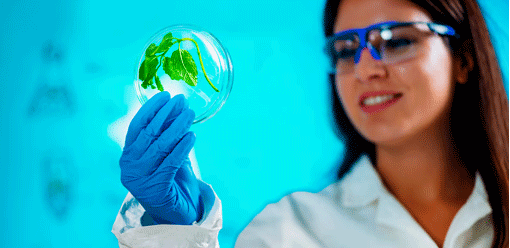 Environmental Sciences