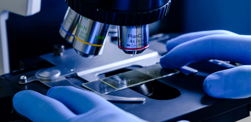 Life Sciences & Medicine
